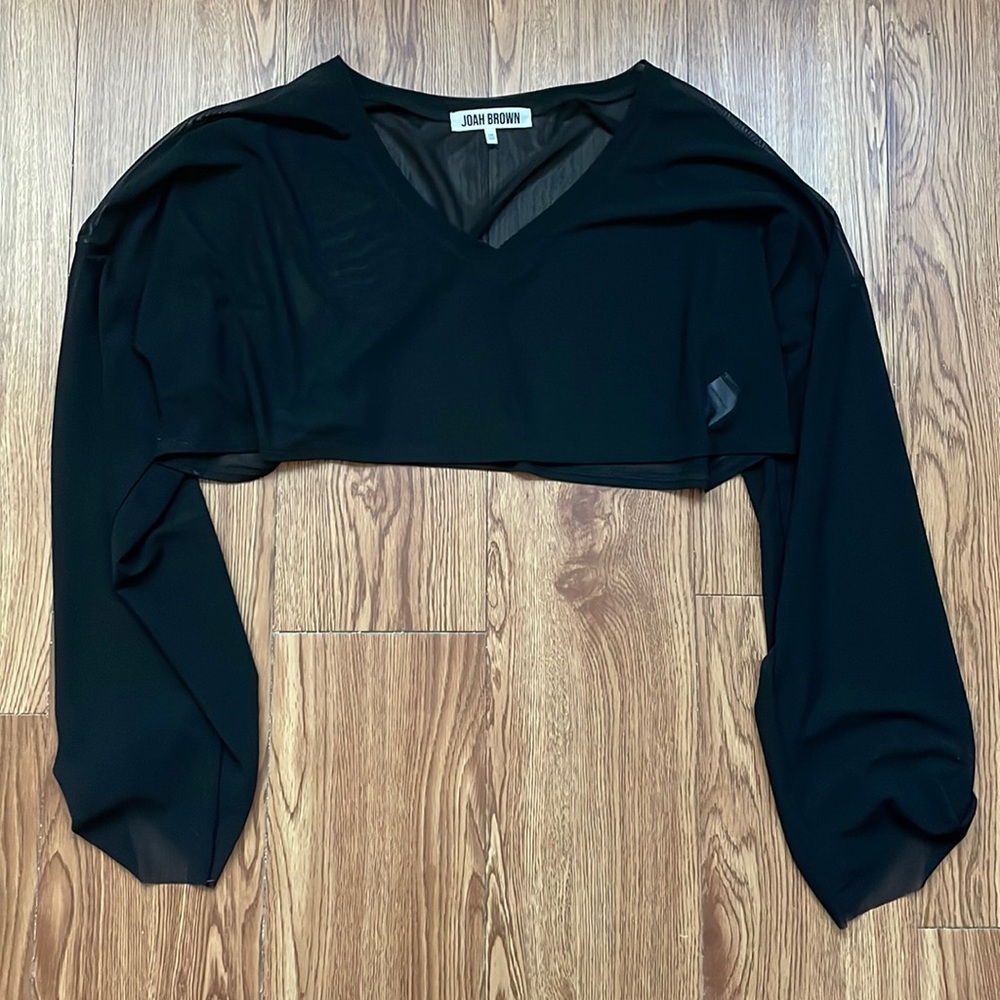 Joah Brown Black Long Sleeve Cropped Sheer Top